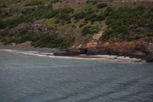 HARINGTON-POINT-DUNEDIN (40)